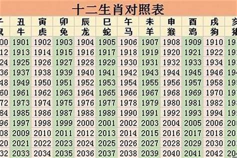 1996年是什么年